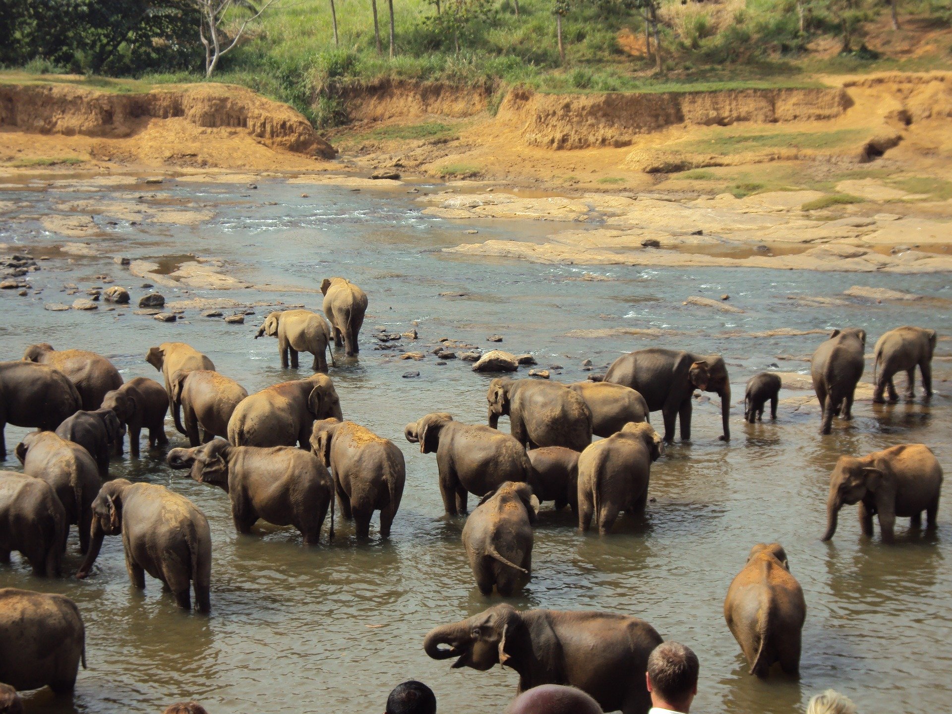 Yala National Park